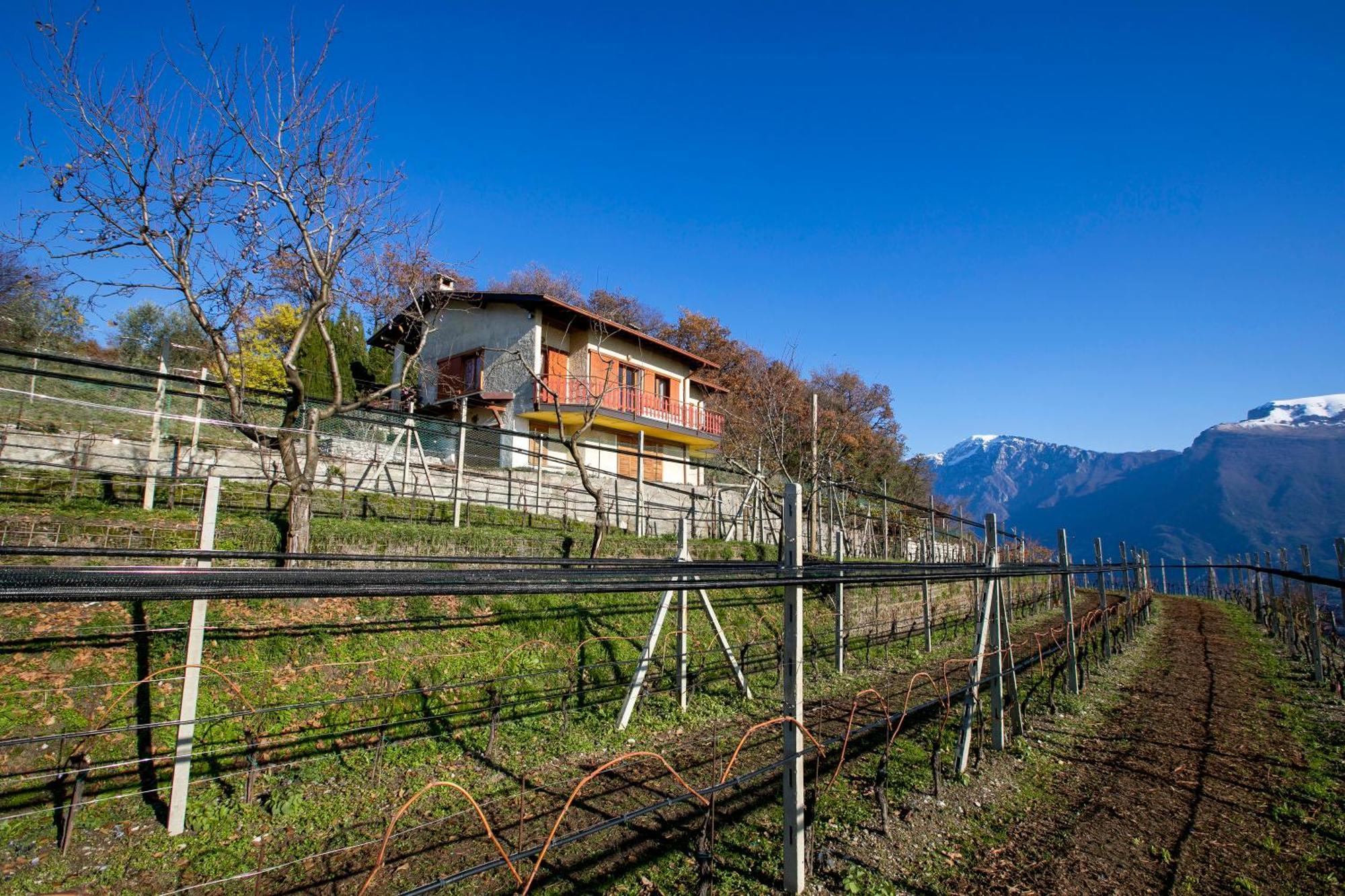 Balcone Panoramico Sul Garda - Happy Rentals Tremosine المظهر الخارجي الصورة